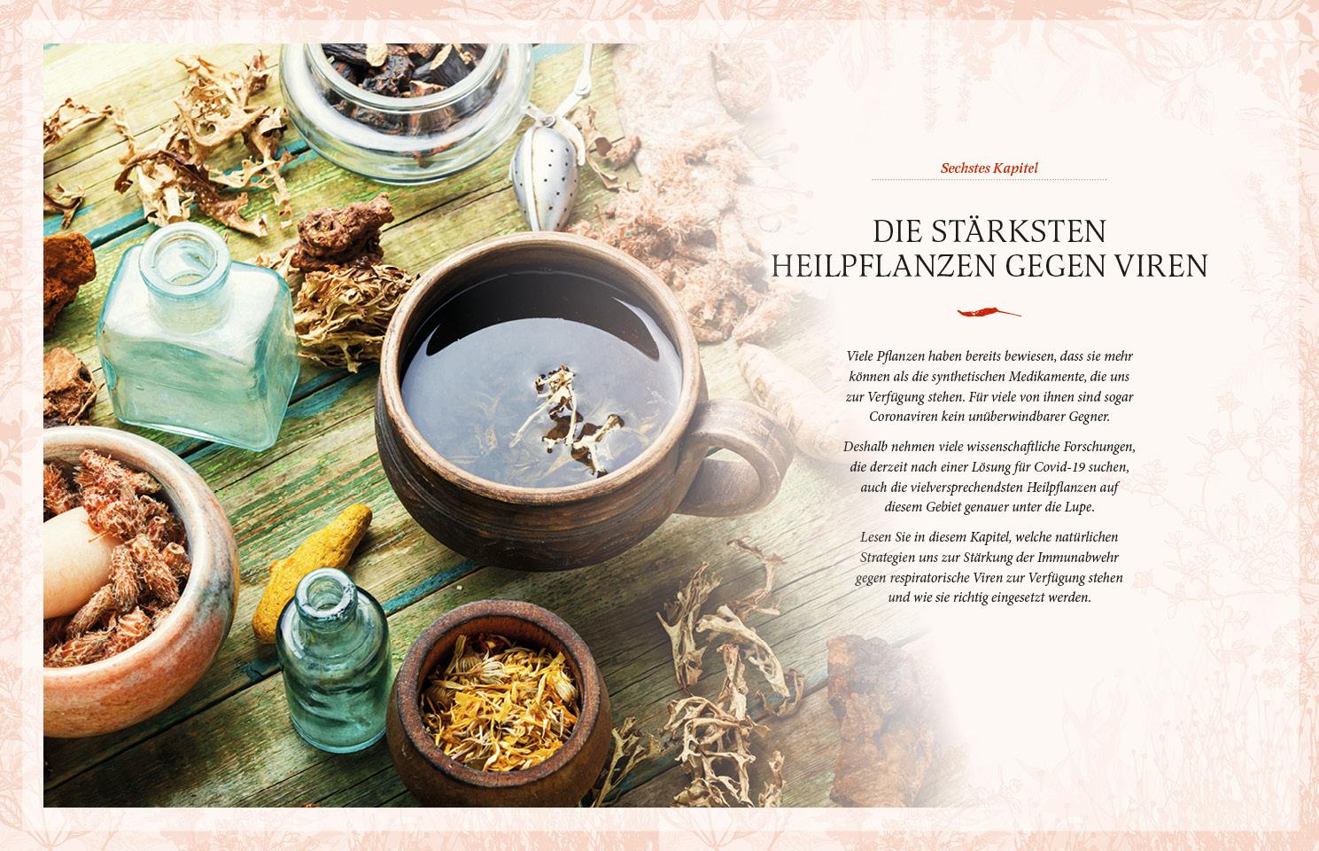 Beispielinhalt (Bild) Heilkräuter und Gewürze gegen Viren