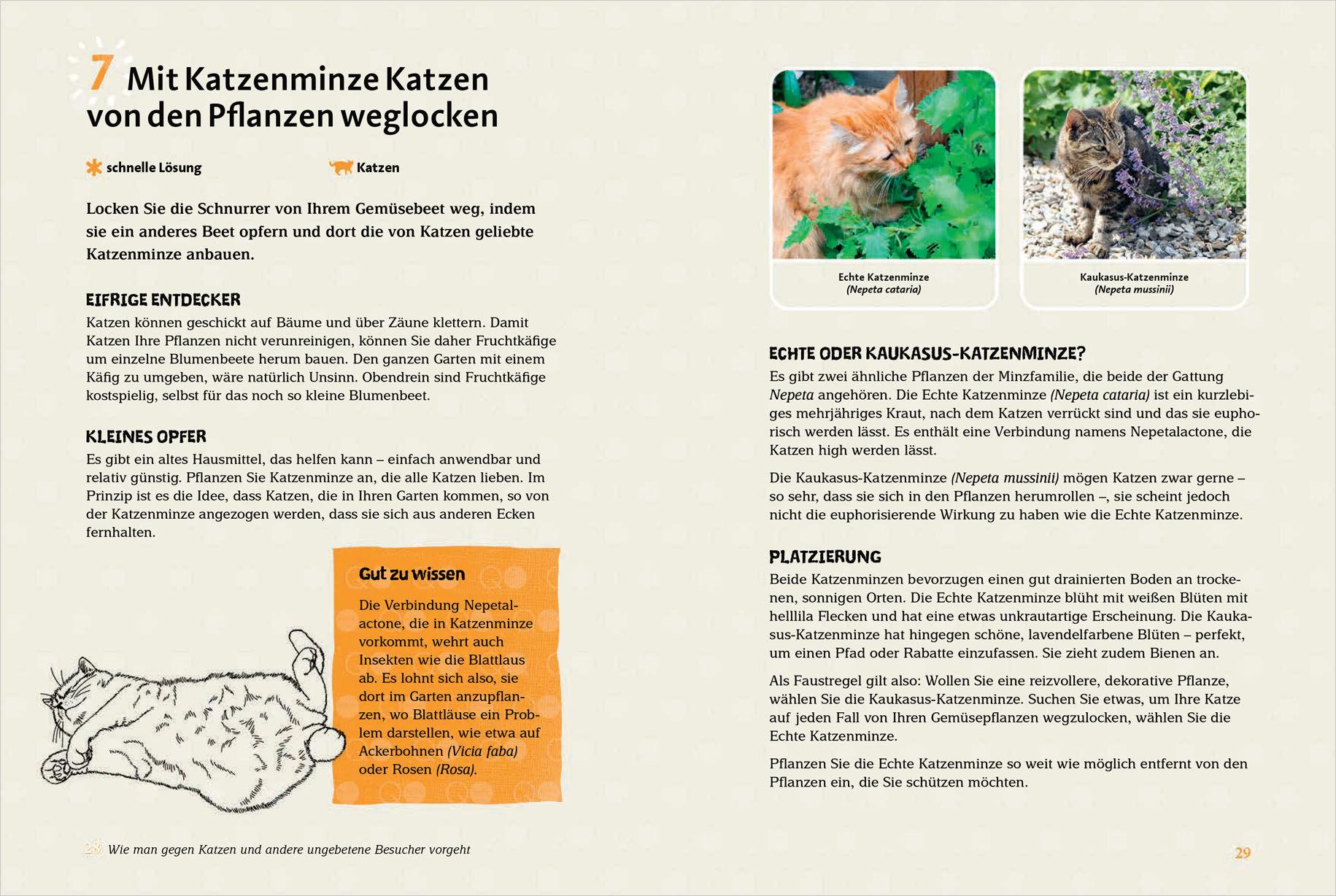 Beispielinhalt (Bild) 50 Wege, einen Maulwurf und andere Störenfriede auszutricksen. Ökologisch, human, legal, artenschutzgeprüft!