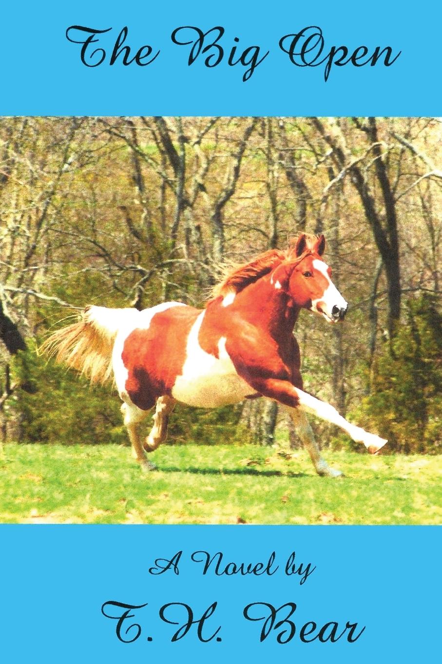 Vorderes Coverbild The Big Open