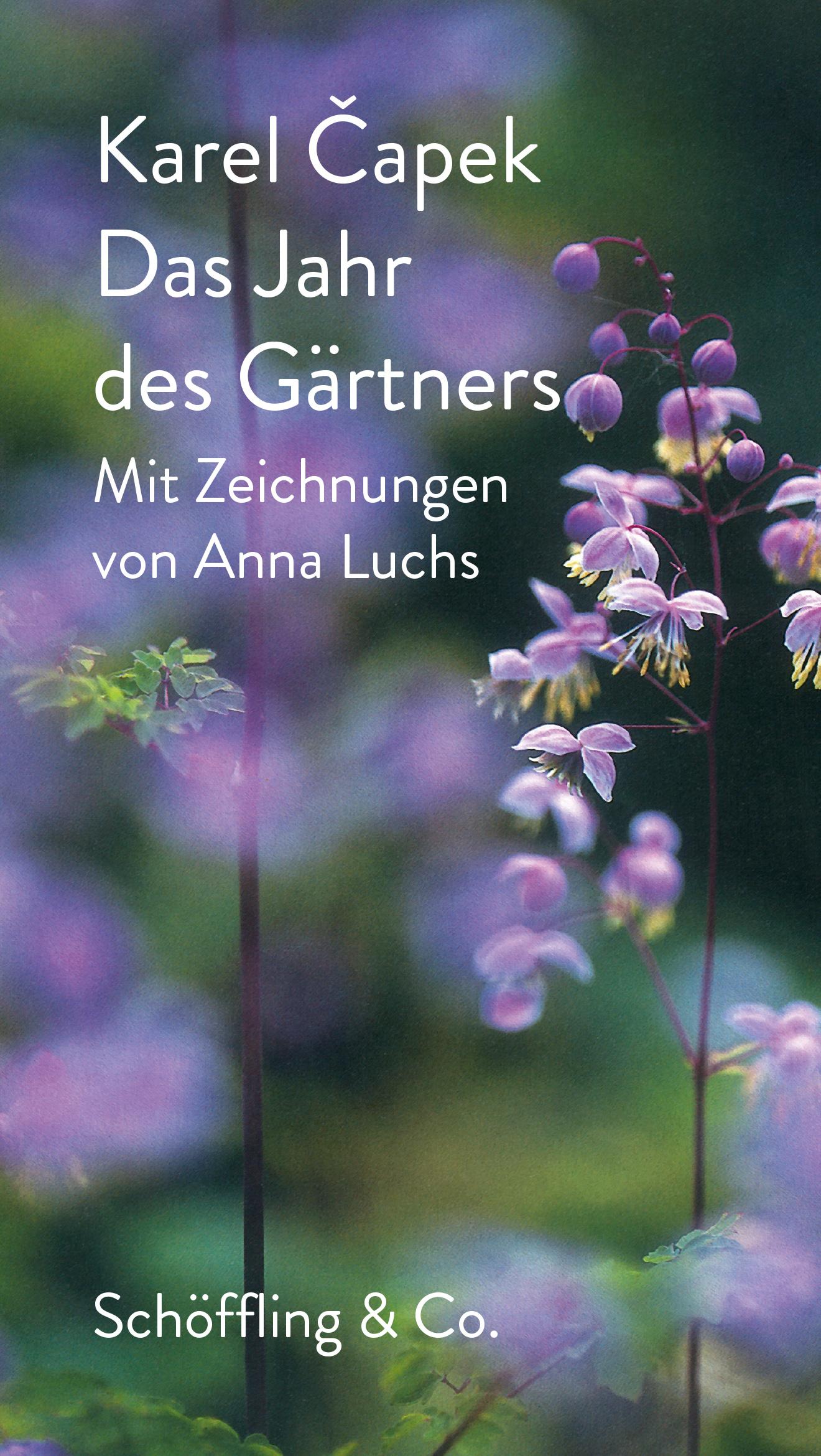 Vorderes Coverbild Das Jahr des Gärtners
