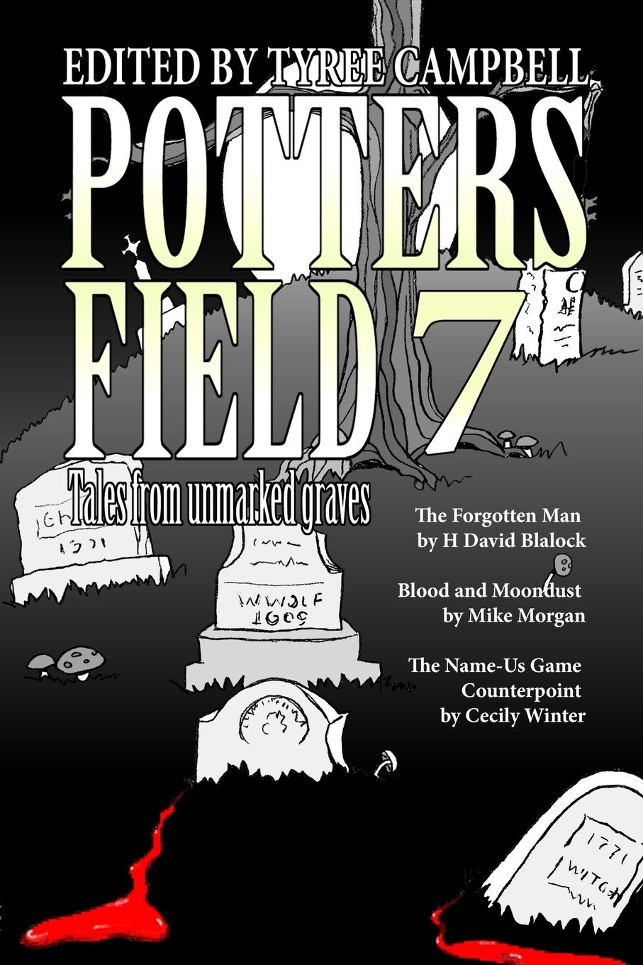 Vorderes Coverbild Potter's Field 7