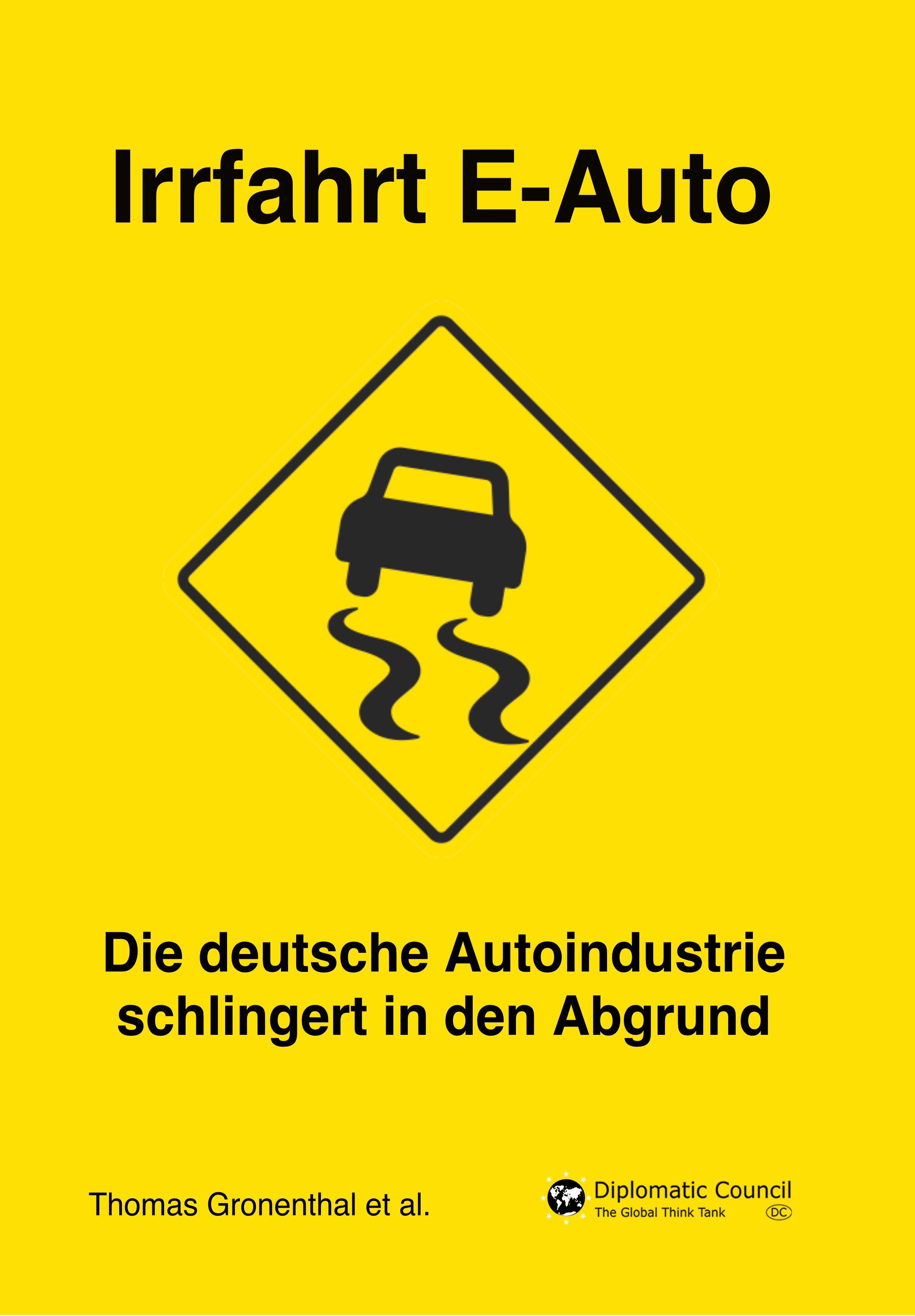 Vorderes Coverbild Irrfahrt E-Auto