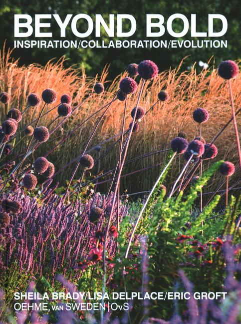 Vorderes Coverbild Beyond Bold: Inspiration, Collaboration, Evolution