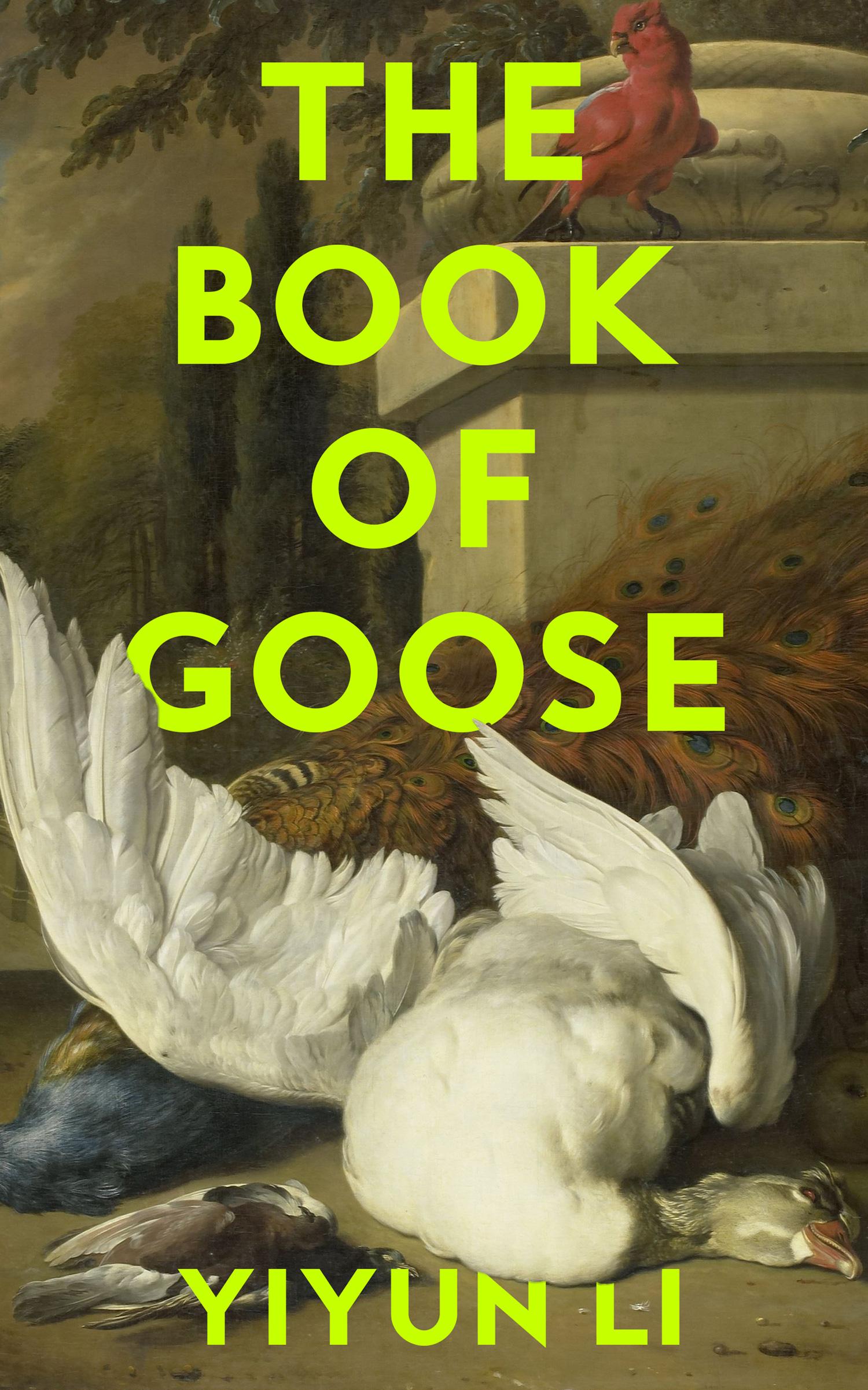 Vorderes Coverbild The Book of Goose