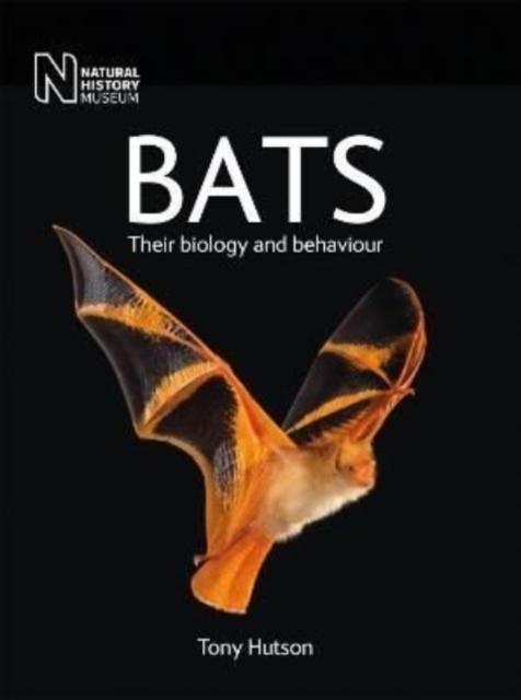 Vorderes Coverbild Bats