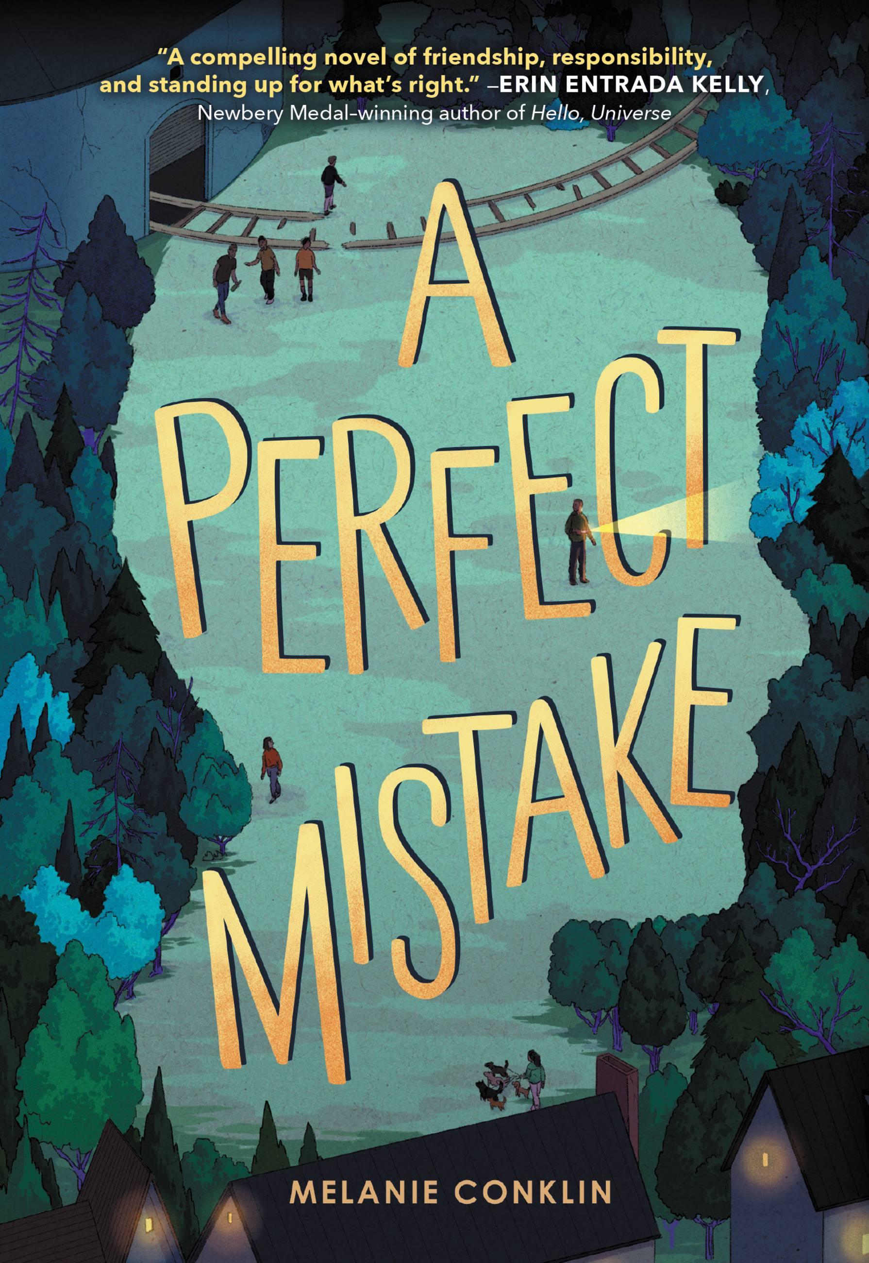 Vorderes Coverbild A Perfect Mistake