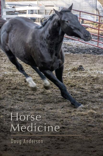 Vorderes Coverbild Horse Medicine