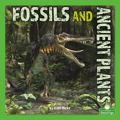 Vorderes Coverbild Fossils and Ancient Plants