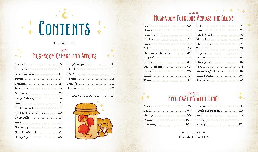 Beispielinhalt (Bild) Mushroom Magick