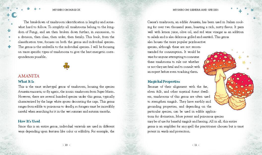 Beispielinhalt (Bild) Mushroom Magick