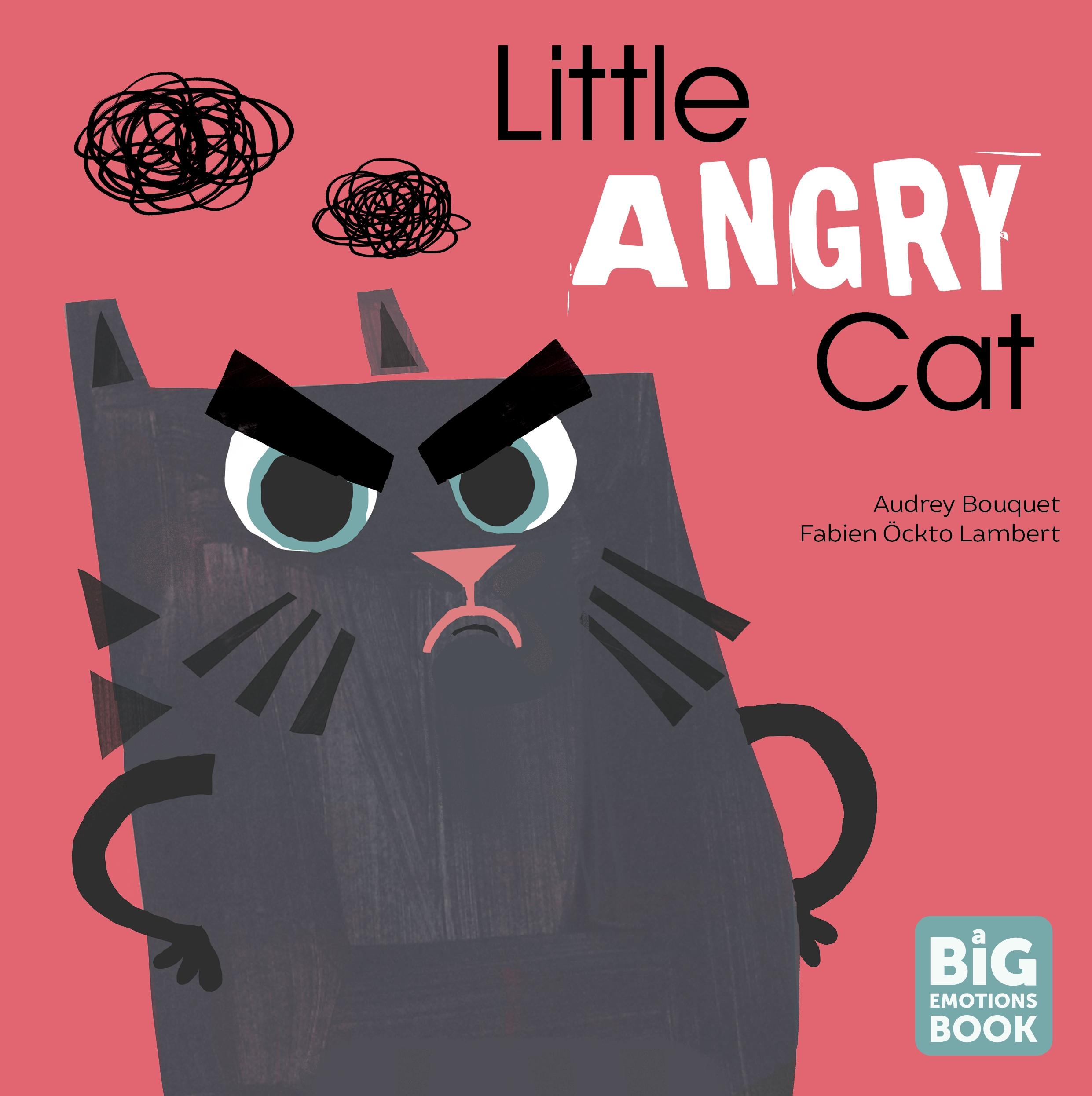 Vorderes Coverbild Little Angry Cat