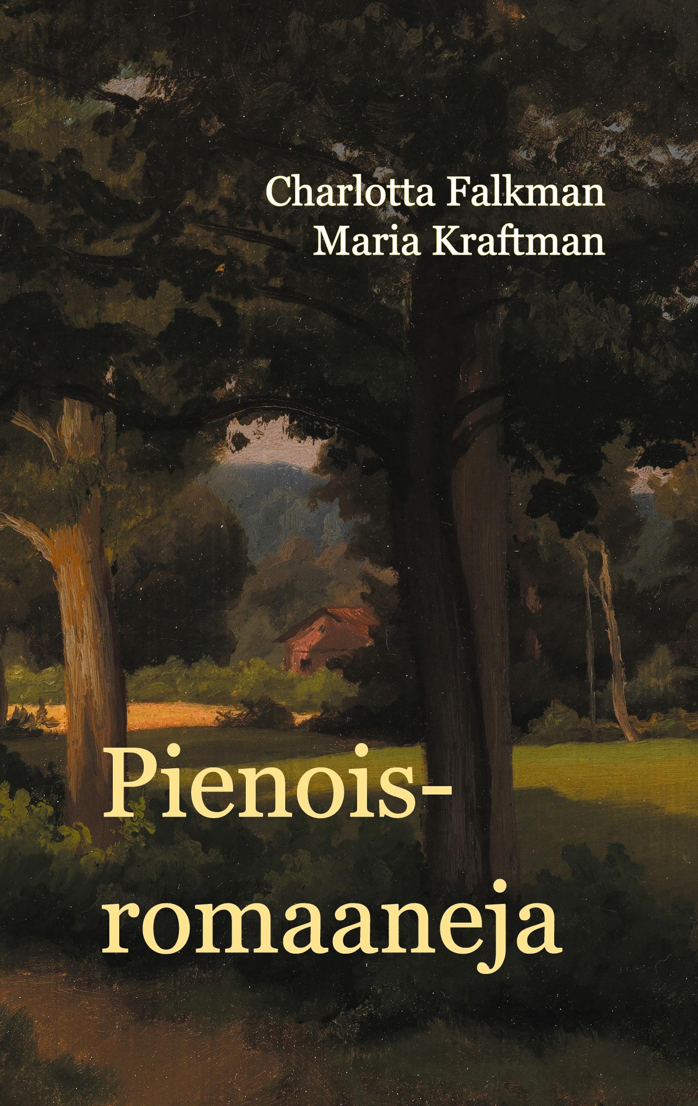 Vorderes Coverbild Pienoisromaaneja