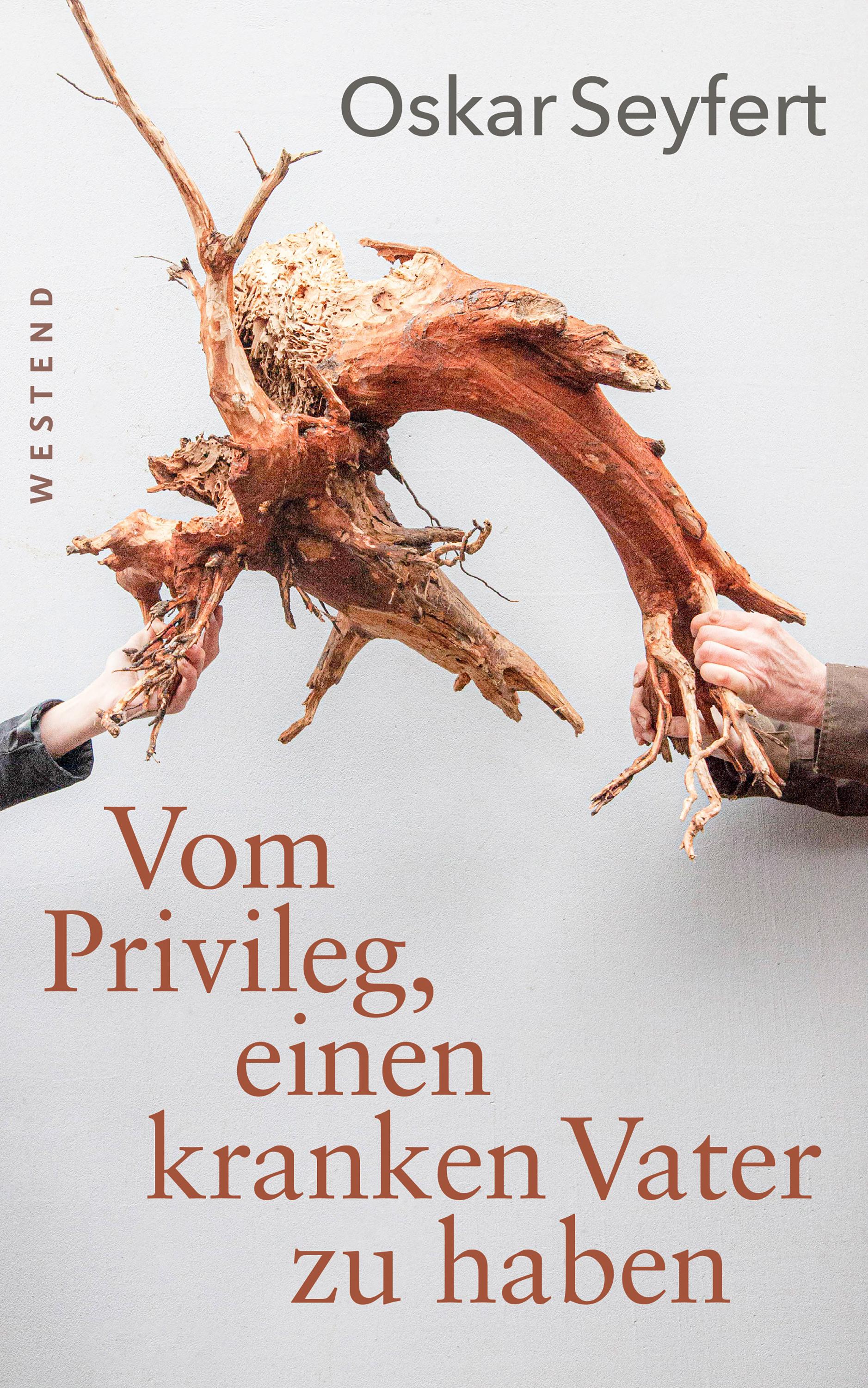 Vorderes Coverbild Vom Privileg, einen kranken Vater zu haben
