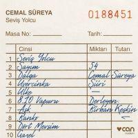 Vorderes Coverbild Sevis Yolcu