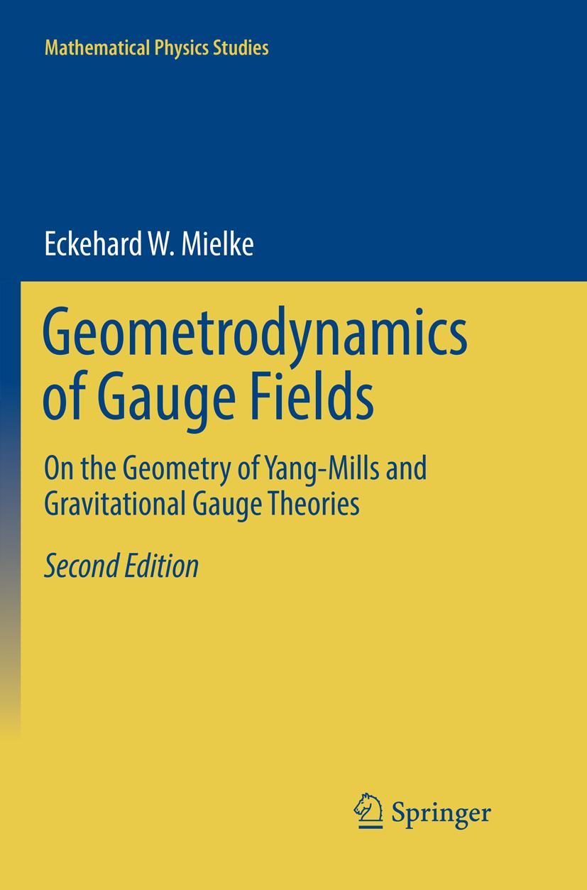 Vorderes Coverbild Geometrodynamics of Gauge Fields