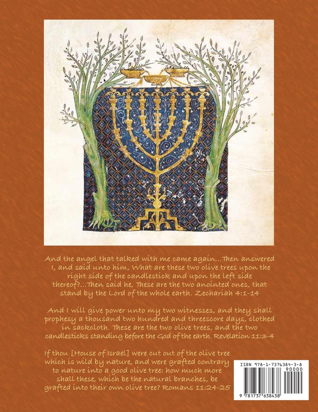 Rückseitencover The Prodigal Son Prophecy