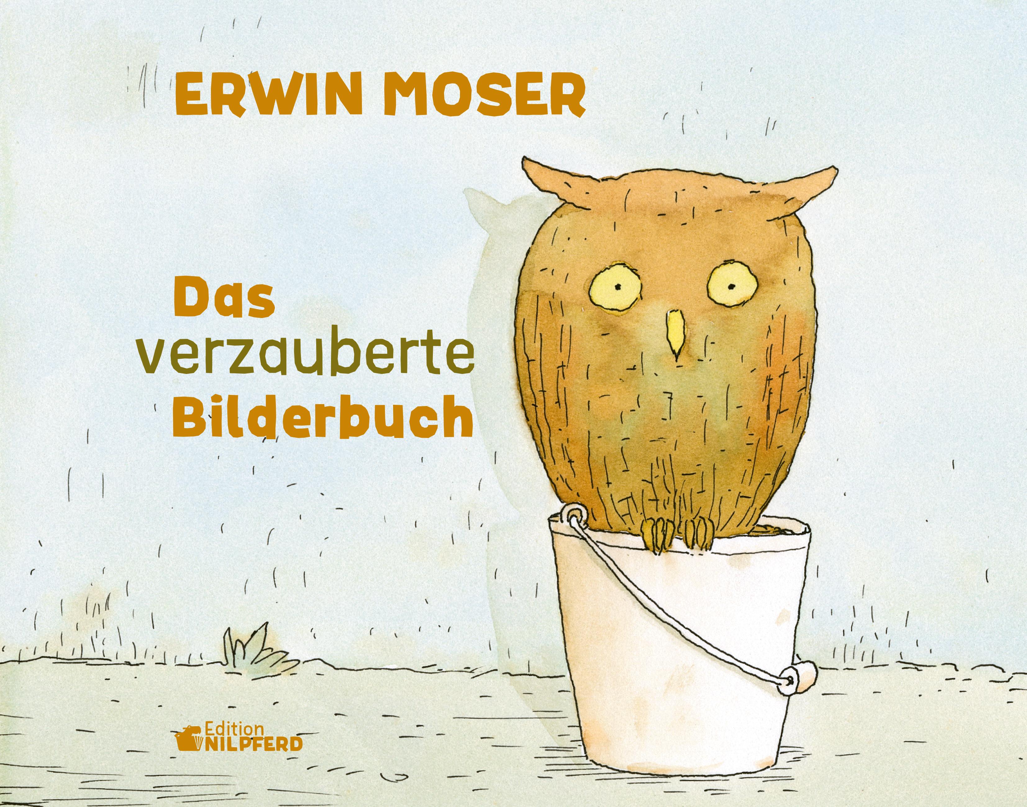Vorderes Coverbild Das verzauberte Bilderbuch
