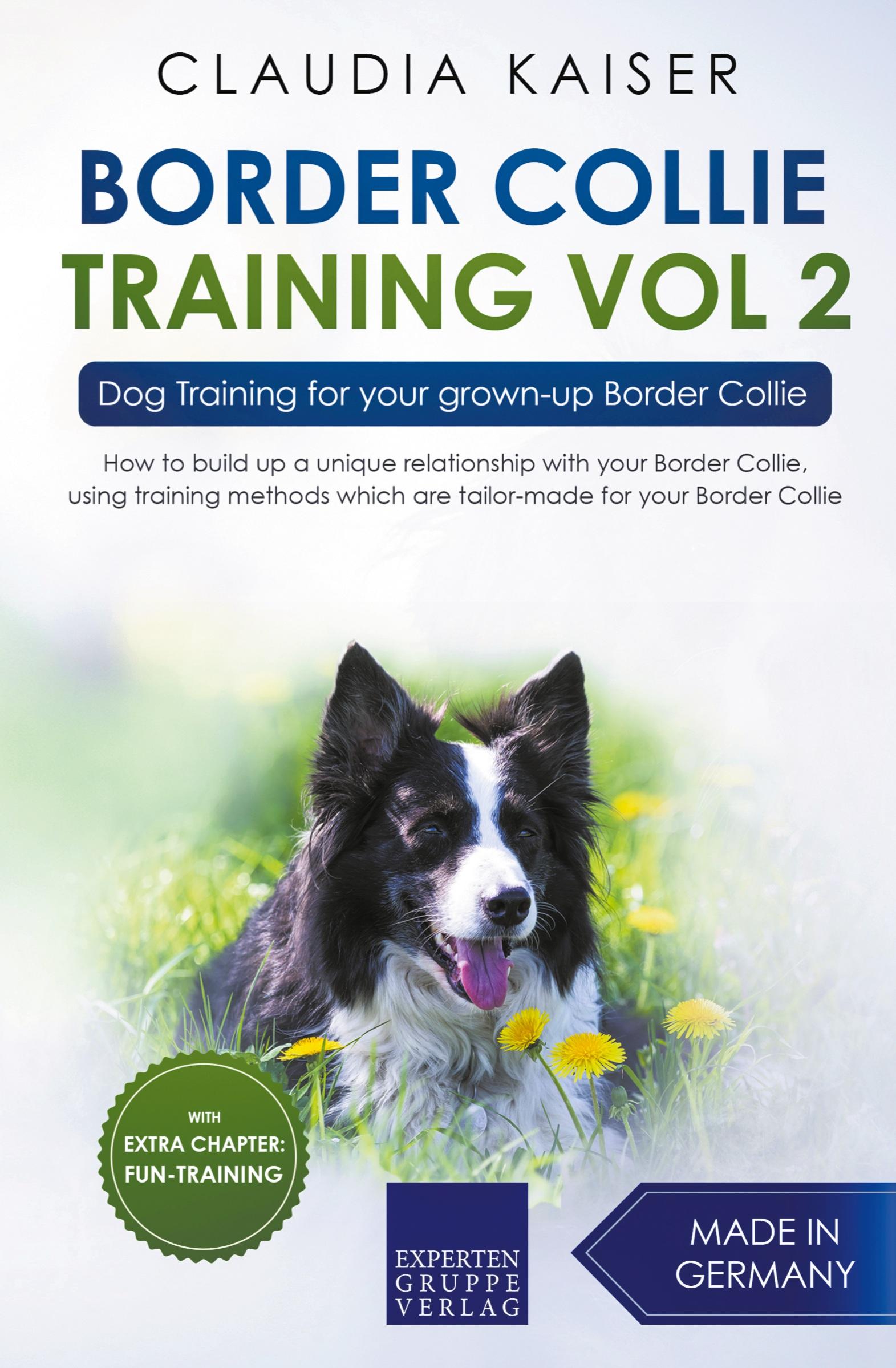 Vorderes Coverbild Border Collie Training Vol. 2