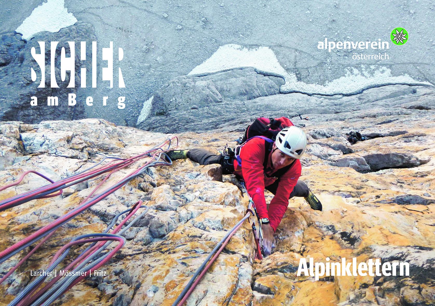Vorderes Coverbild Sicher am Berg: Alpinklettern
