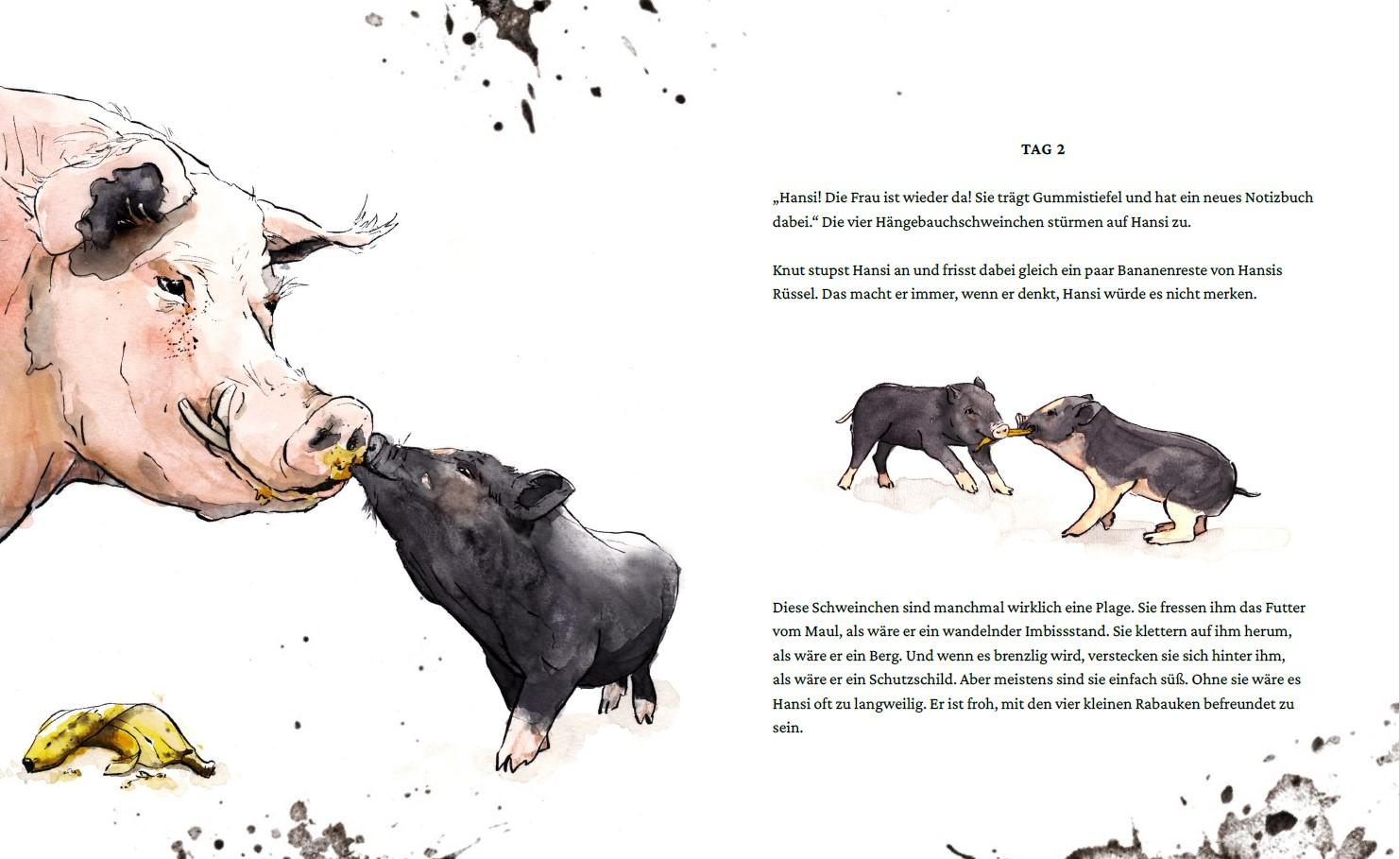 Beispielinhalt (Bild) Ein Buch für Hansi