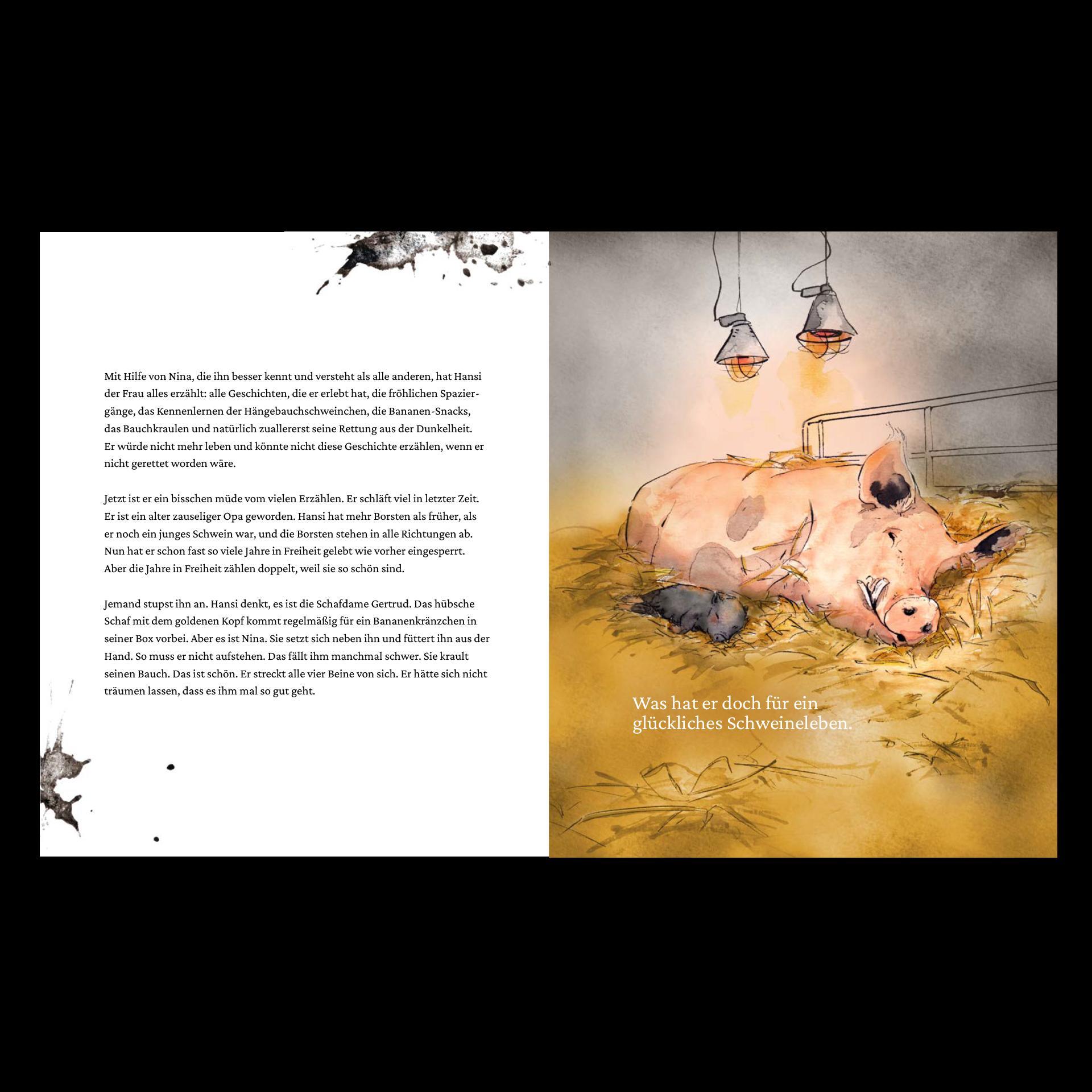 Beispielinhalt (Bild) Ein Buch für Hansi