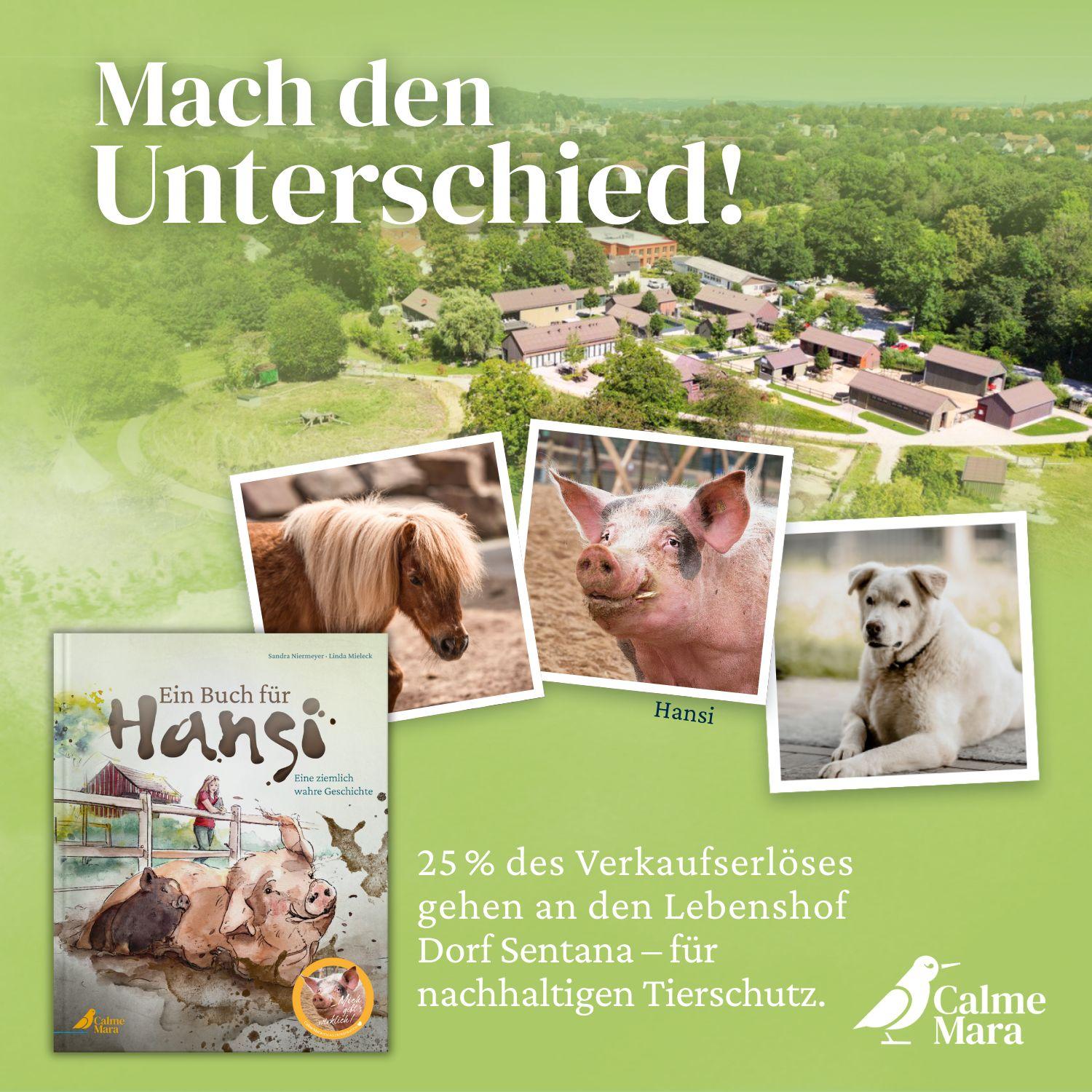 Beispielinhalt (Bild) Ein Buch für Hansi
