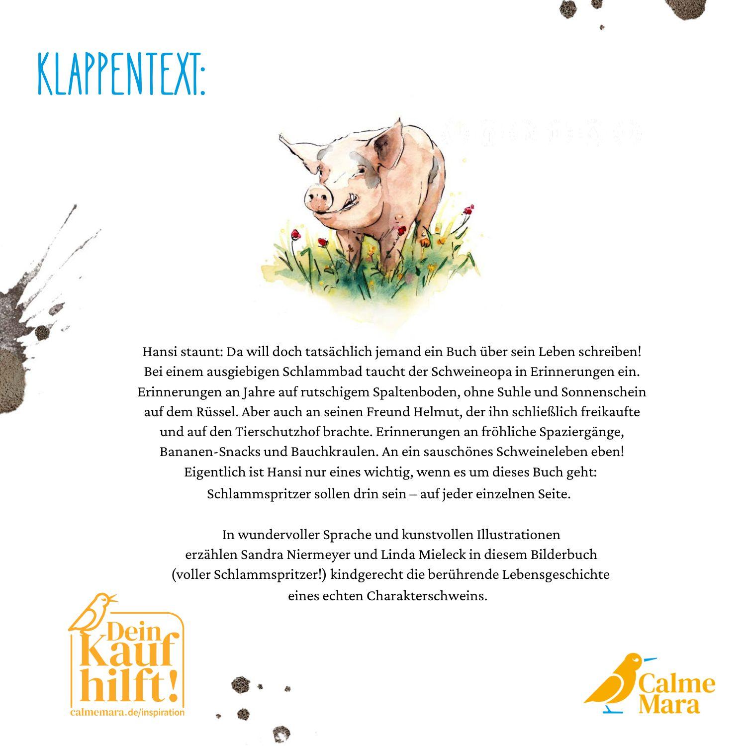 Beispielinhalt (Bild) Ein Buch für Hansi