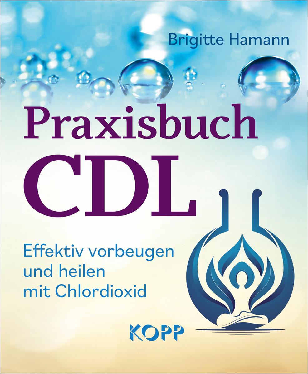 Vorderes Coverbild Praxisbuch CDL