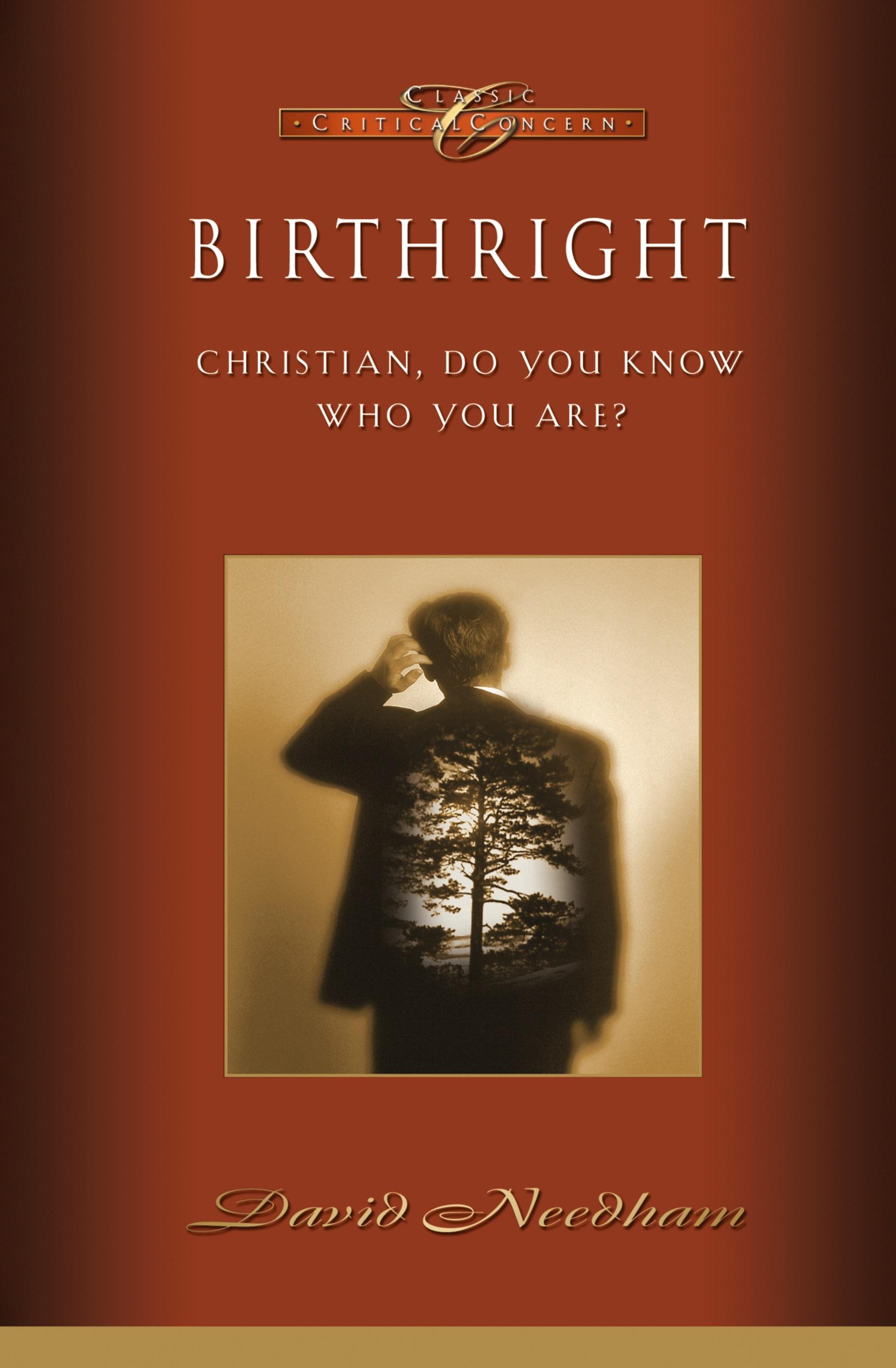 Vorderes Coverbild Birthright