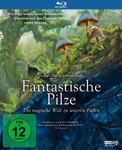 Vorderes Coverbild Fantastische Pilze - Die magische Welt zu unseren Füßen