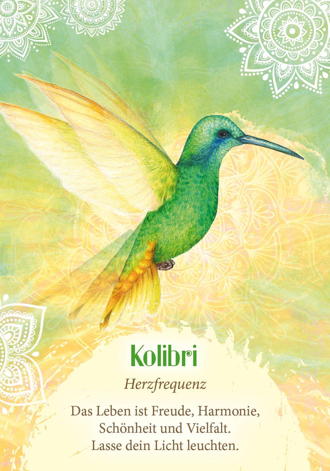 Beispielinhalt (Bild) Das Orakel der Vögel