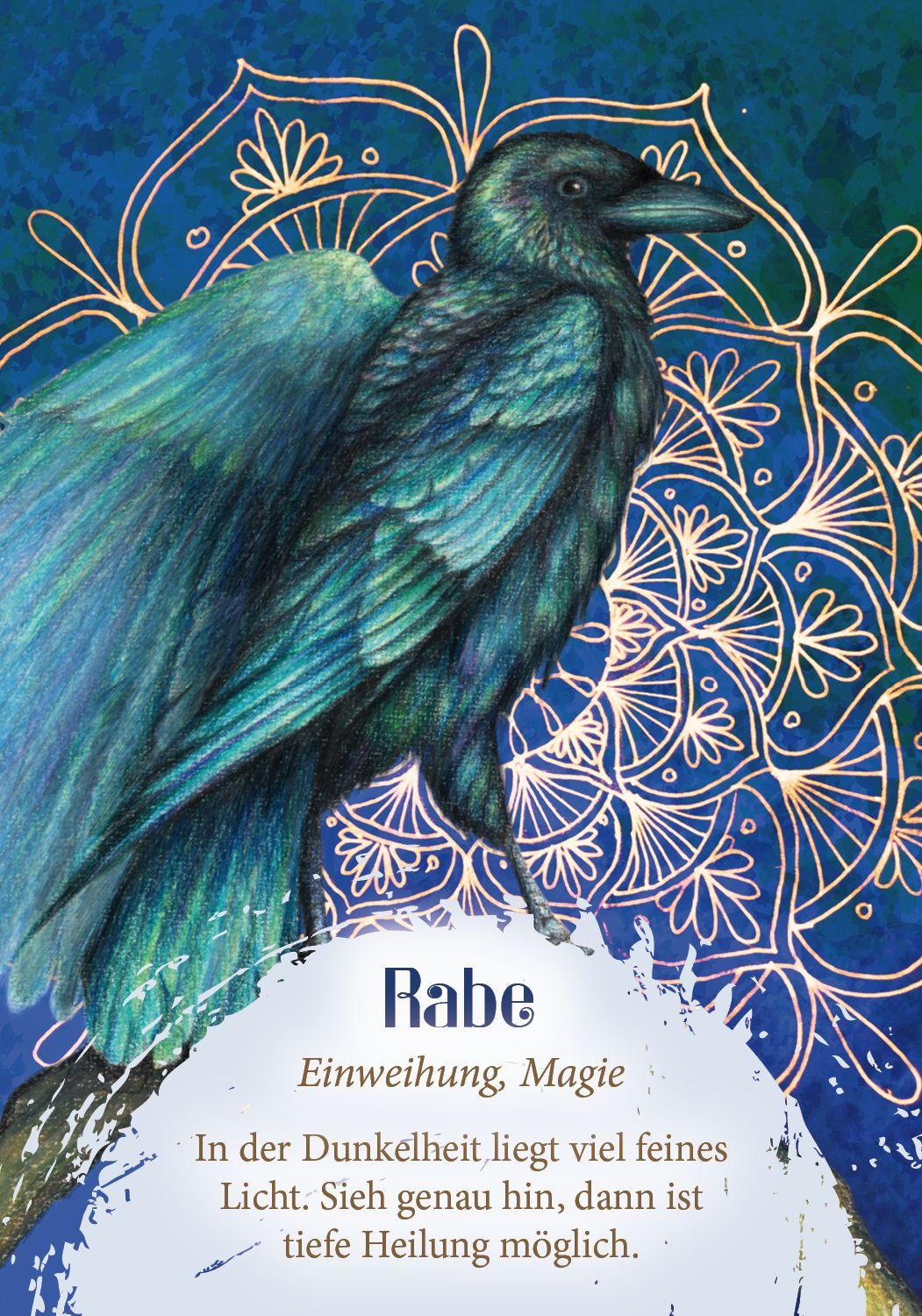 Beispielinhalt (Bild) Das Orakel der Vögel