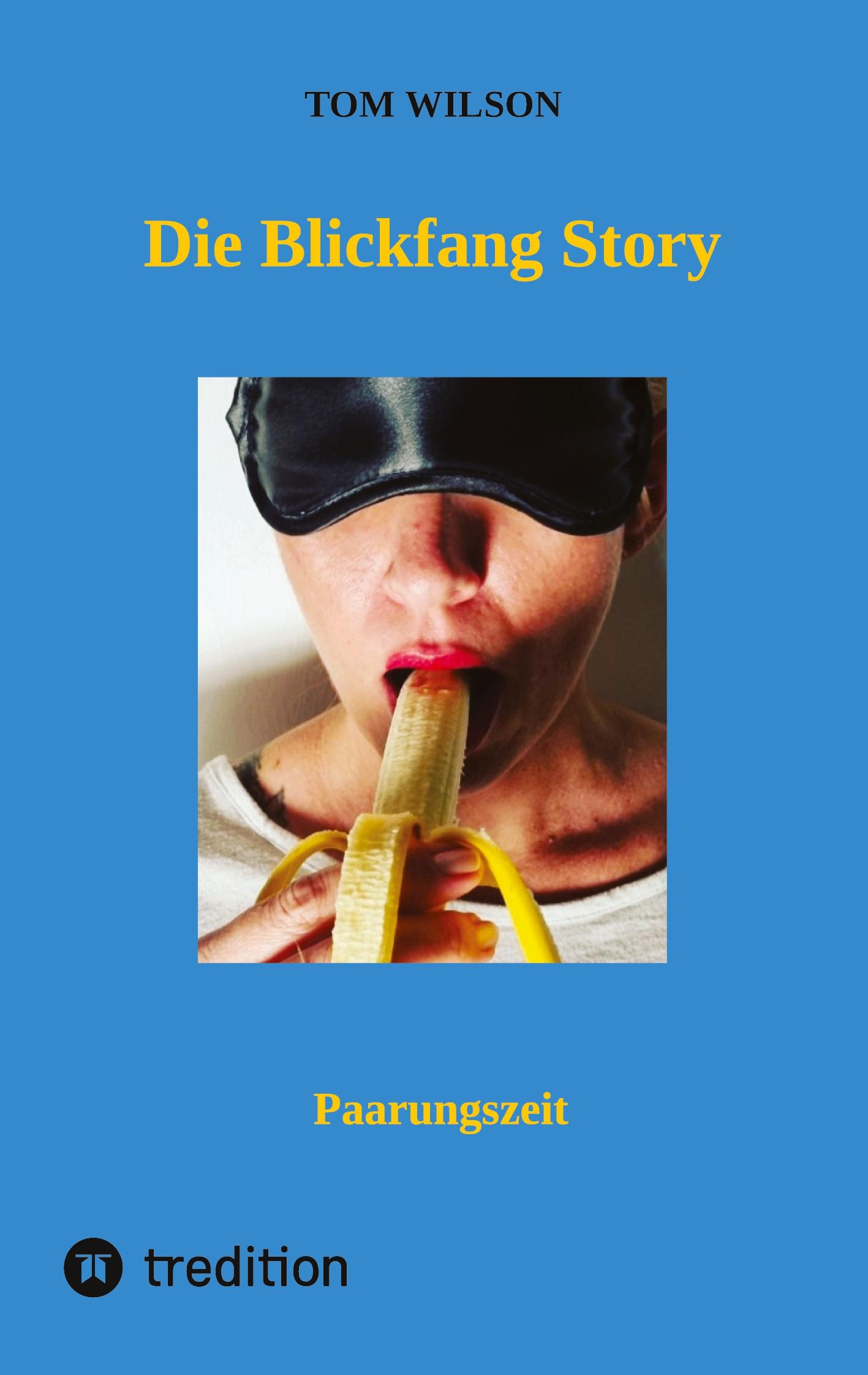 Vorderes Coverbild Die Blickfang Story