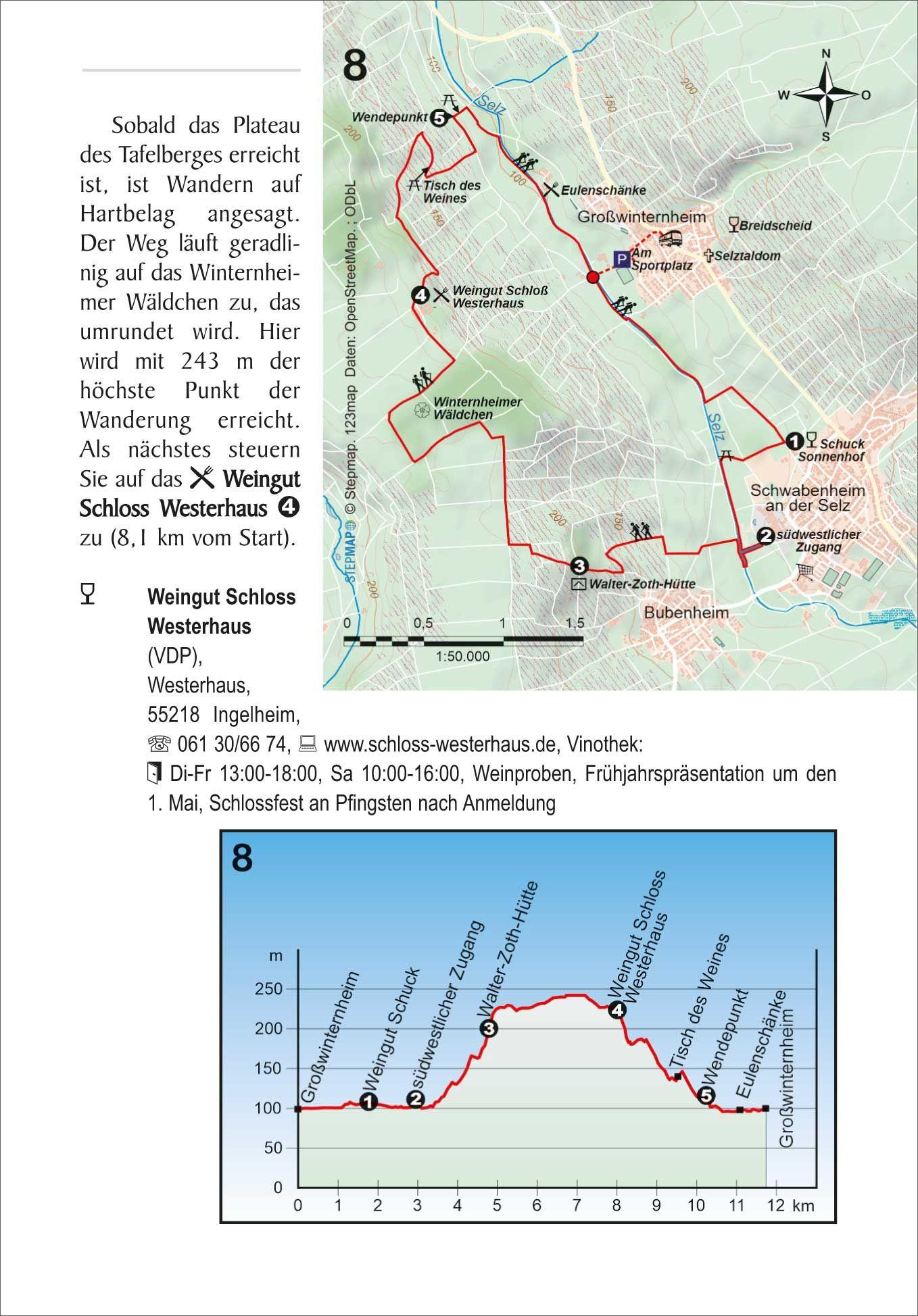 Beispielinhalt (Bild) Weinparadies Rheinhessen-Nahe