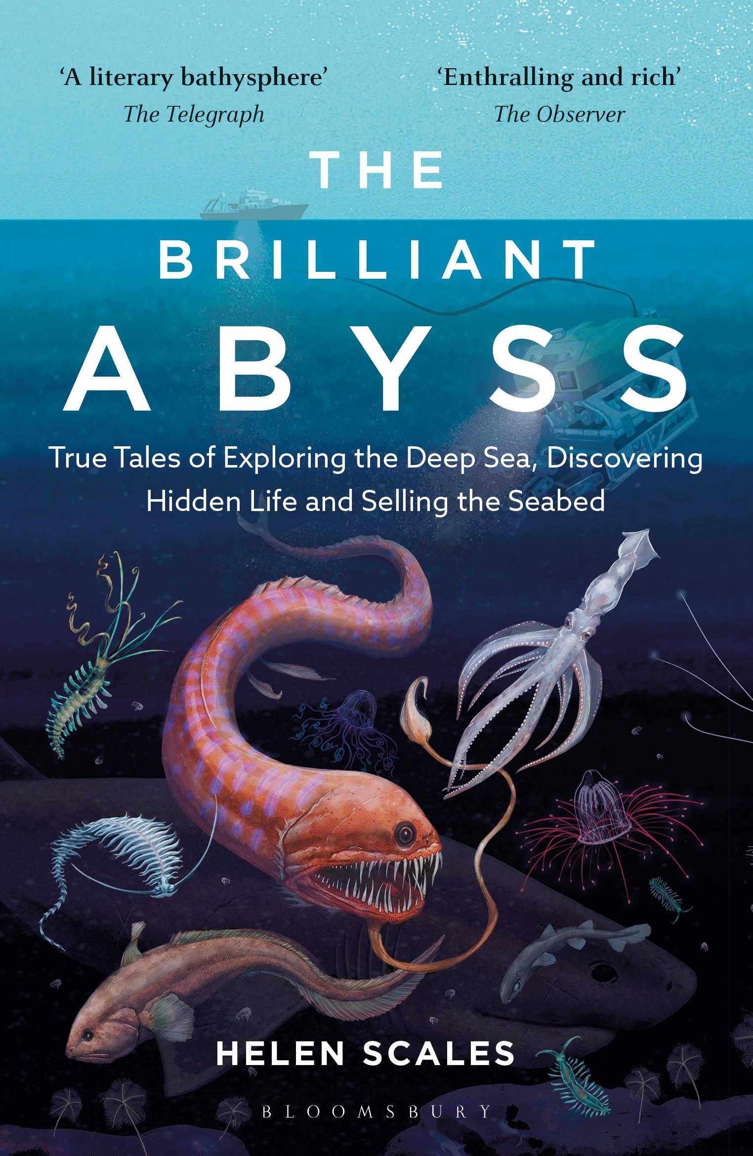 Vorderes Coverbild The Brilliant Abyss
