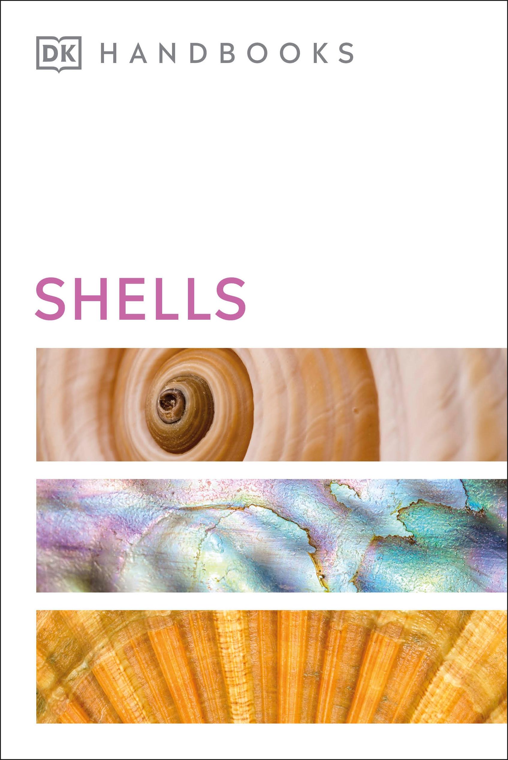 Vorderes Coverbild Shells