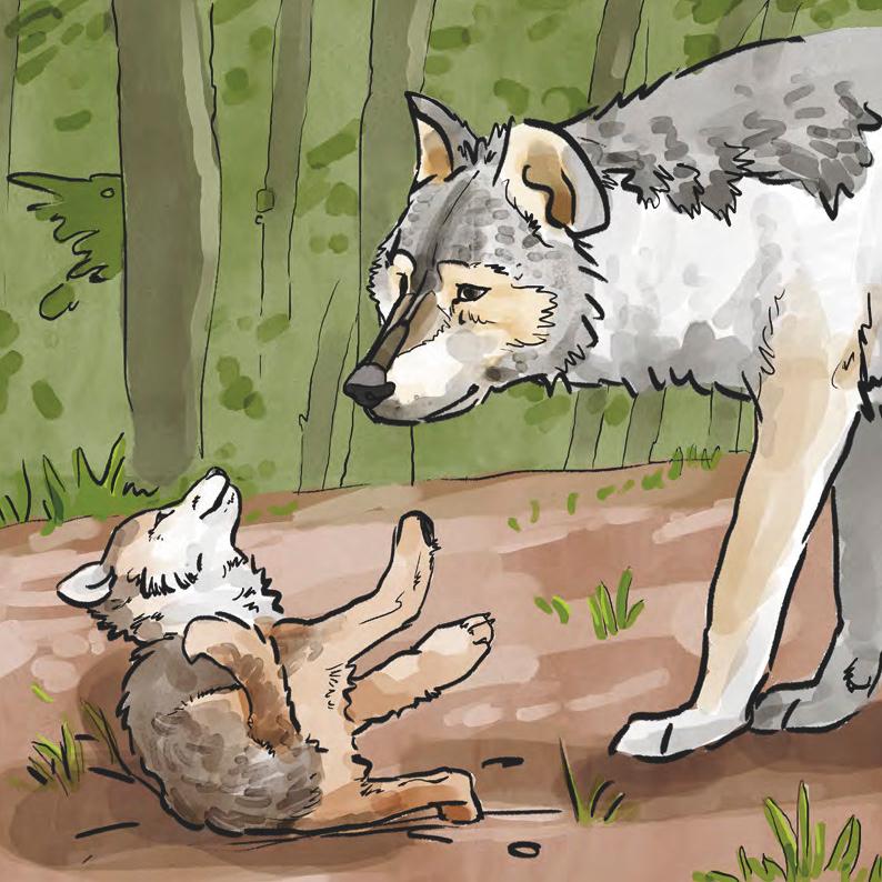 Beispielinhalt (Bild) Nisha und Yukon