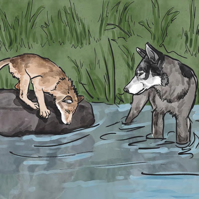 Beispielinhalt (Bild) Nisha und Yukon