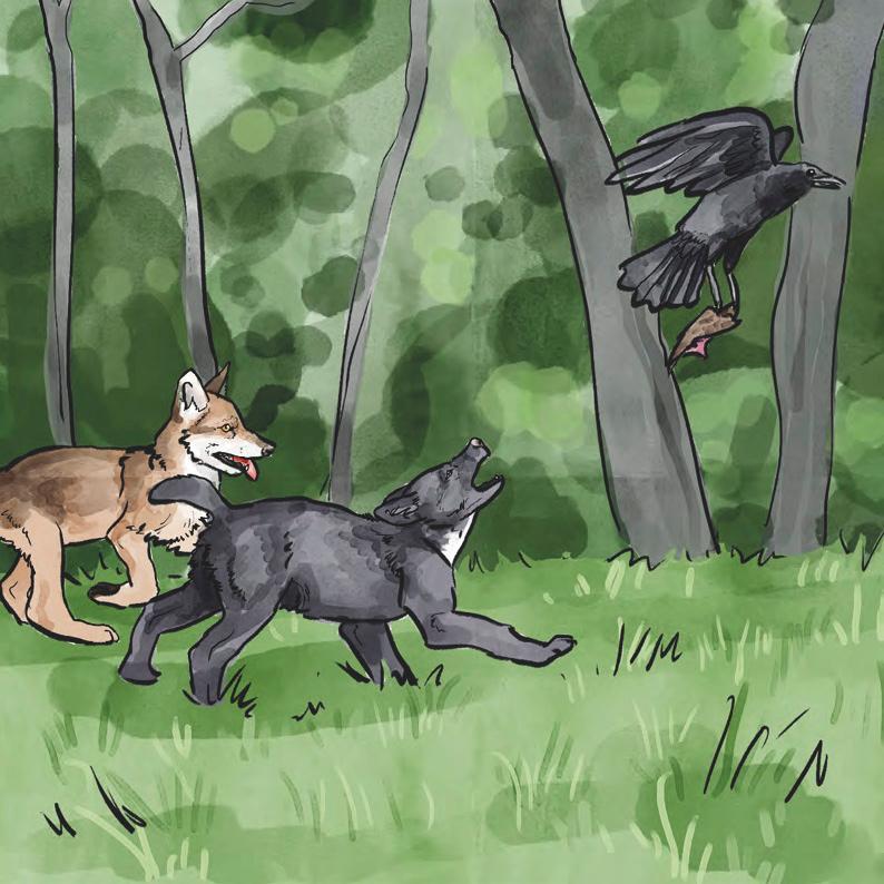 Beispielinhalt (Bild) Nisha und Yukon