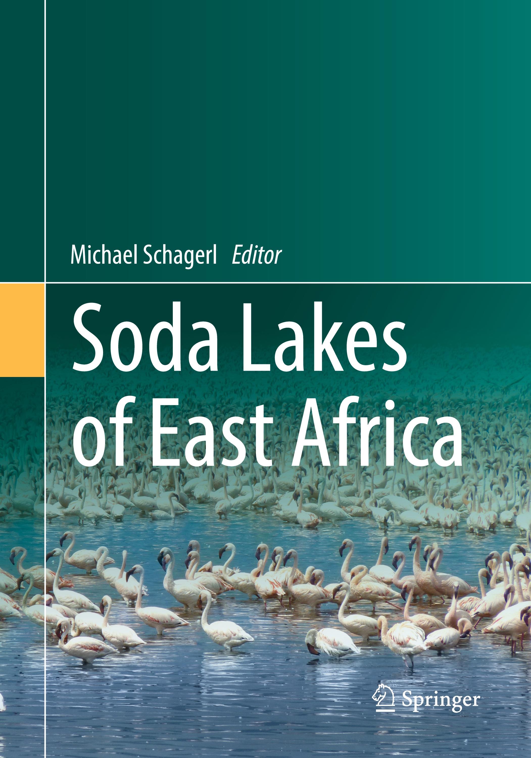 Vorderes Coverbild Soda Lakes of East Africa
