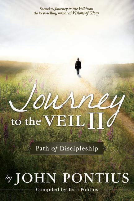 Vorderes Coverbild Journey to the Veil II