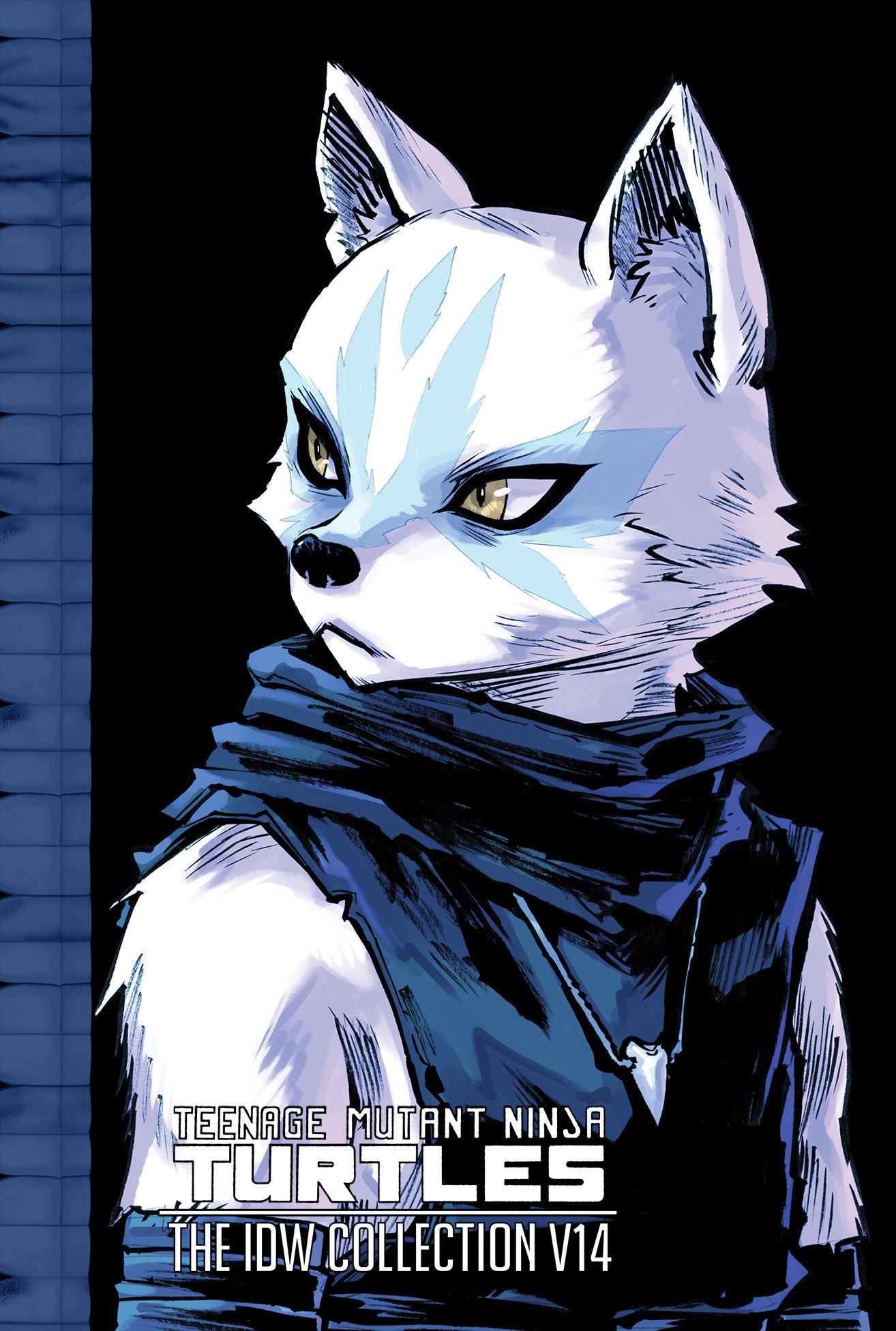 Vorderes Coverbild Teenage Mutant Ninja Turtles: The IDW Collection Volume 14