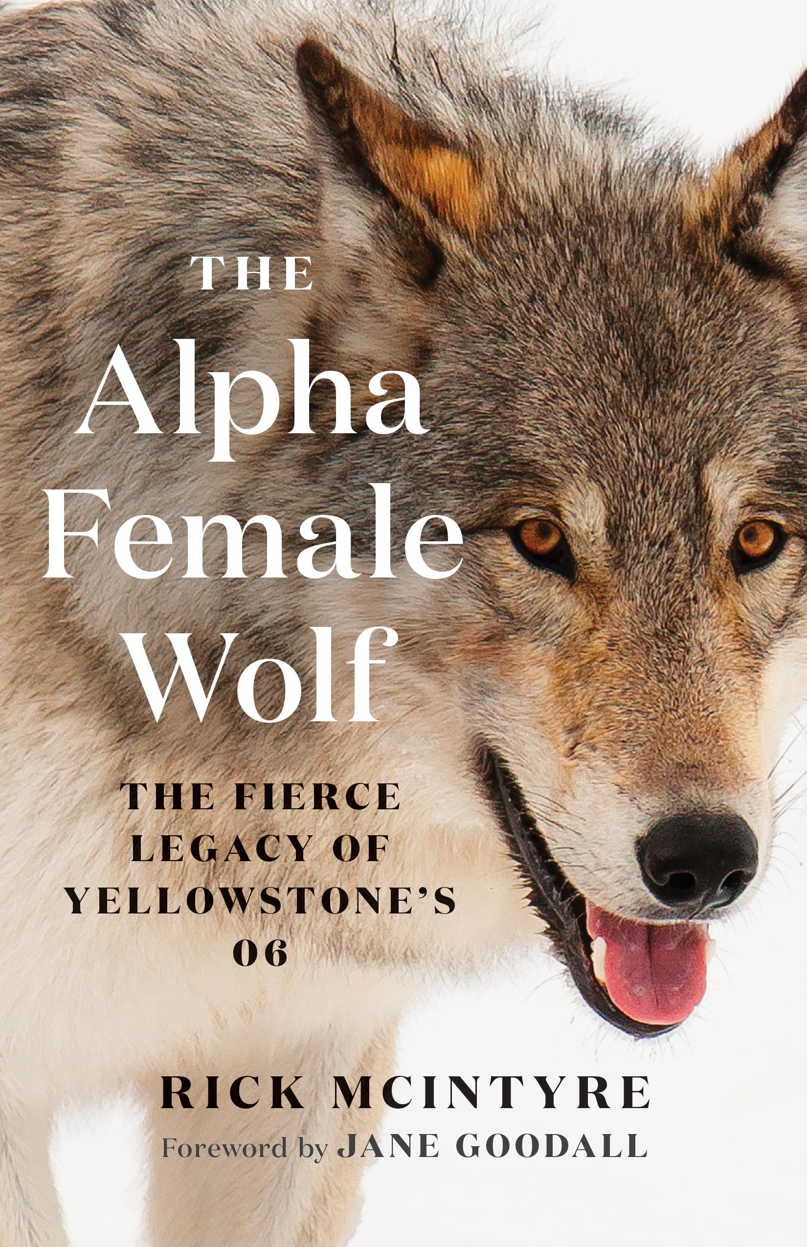 Vorderes Coverbild The Alpha Female Wolf