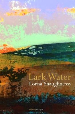 Vorderes Coverbild Lark Water