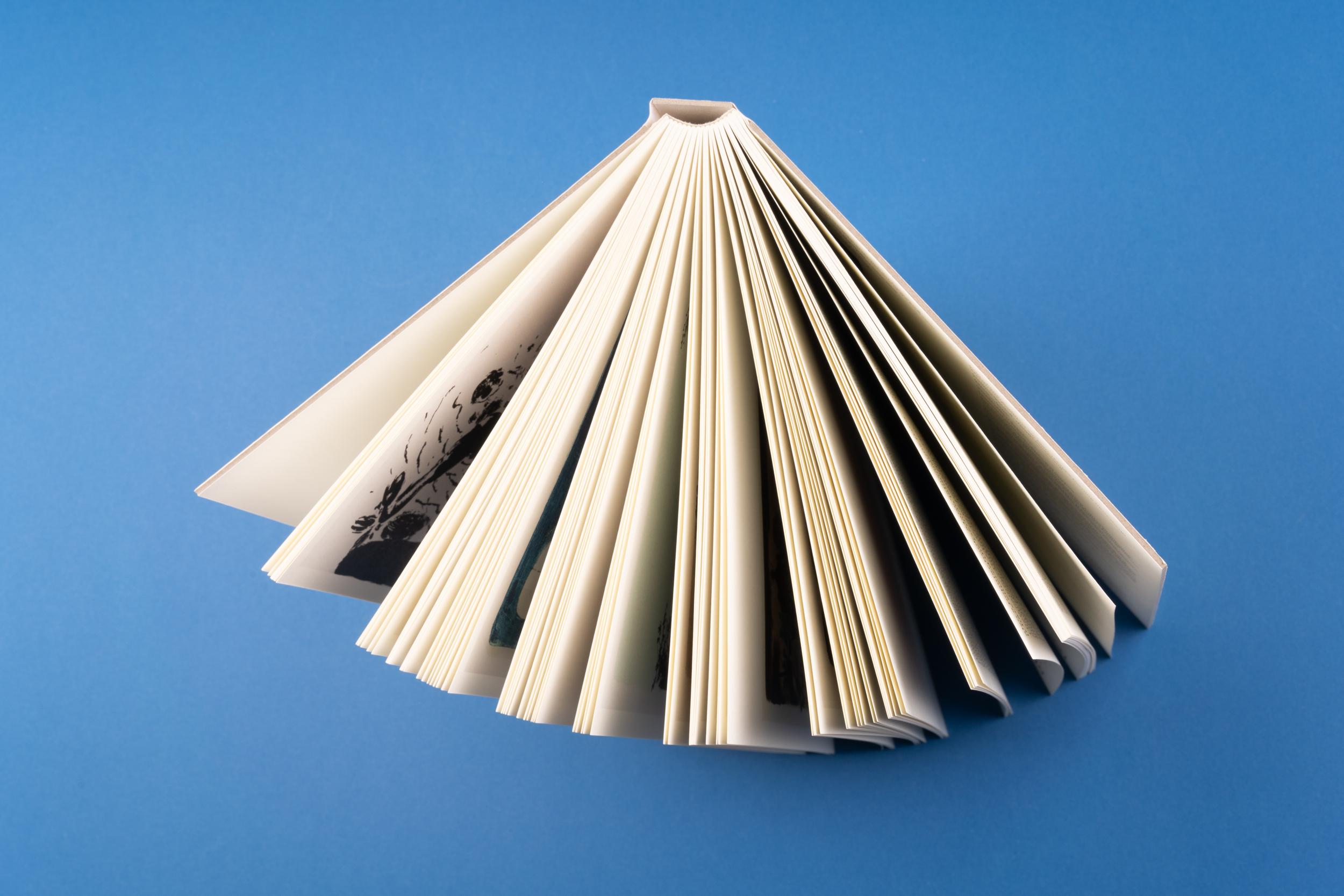 Beispielinhalt (Bild) Neo Rauch. Der Bestand | The Holdings