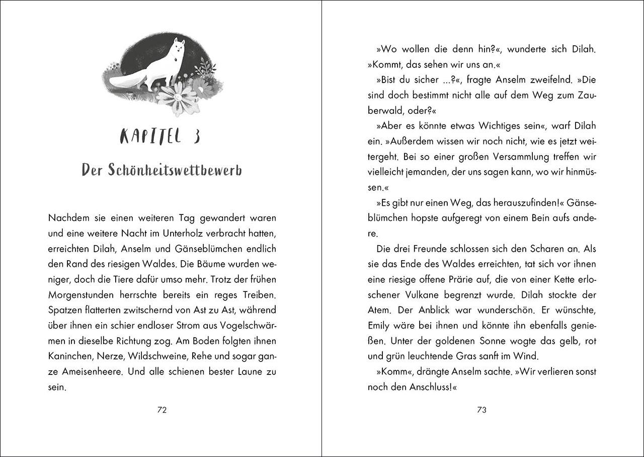 Beispielinhalt (Bild) White Fox (Band 2) - Suche nach der verborgenen Quelle