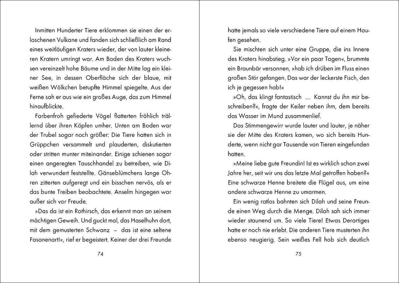 Beispielinhalt (Bild) White Fox (Band 2) - Suche nach der verborgenen Quelle