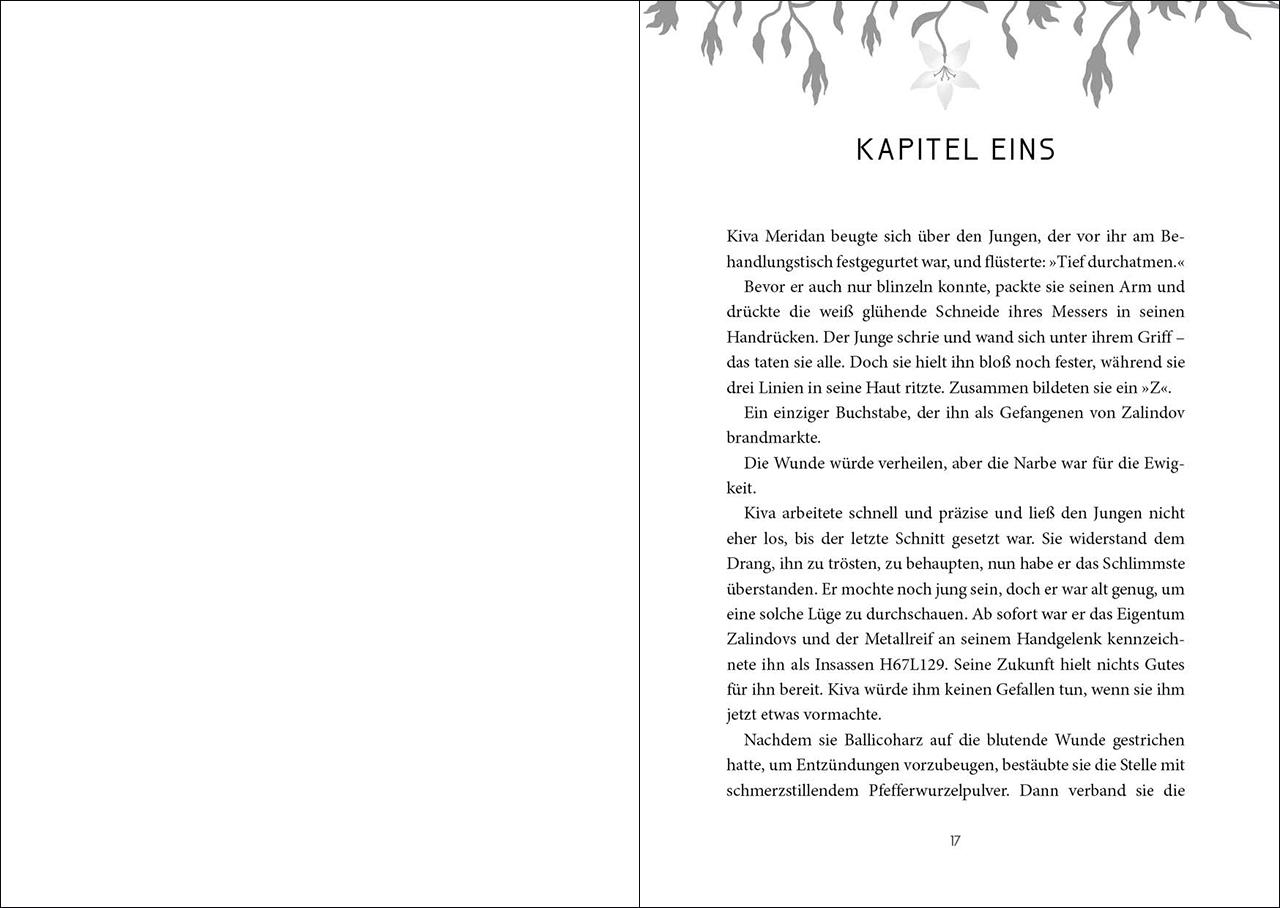 Beispielinhalt (Bild) Prison Healer (Band 1) - Die Schattenheilerin