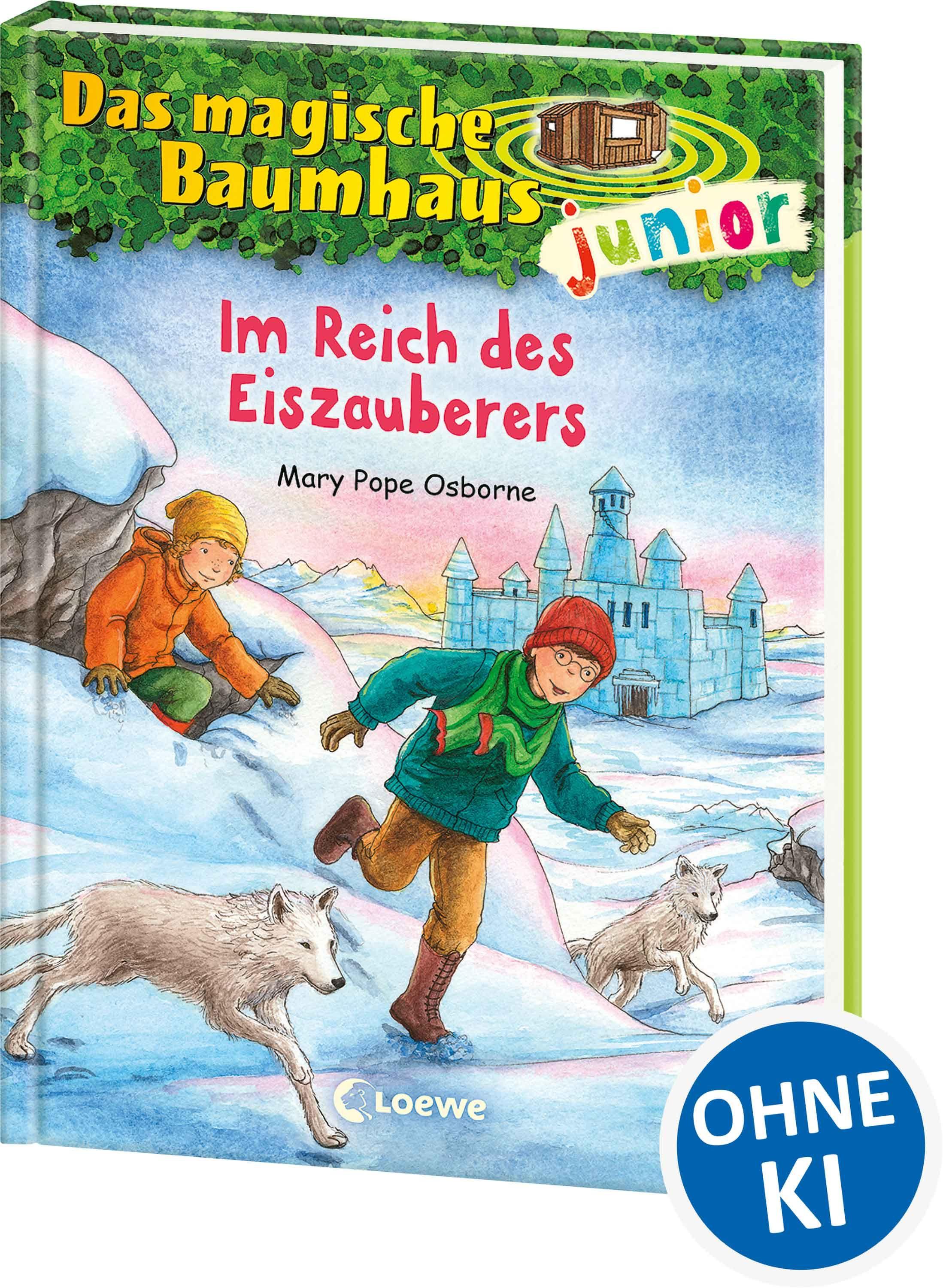 Vorderes Coverbild Das magische Baumhaus junior (Band 29) - Im Reich des Eiszauberers
