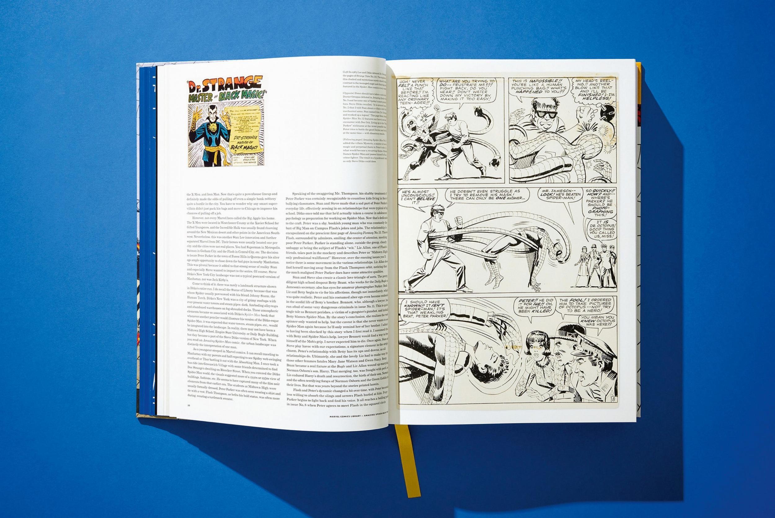 Beispielinhalt (Bild) Marvel Comics Library. Spider-Man. Vol. 1. 1962-1964